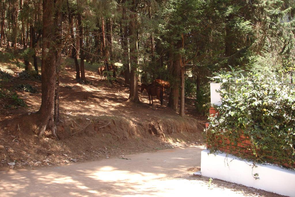 The Red House Bed & Breakfast Ooty Bagian luar foto